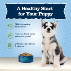 Blue Buffalo High Protein Puppy Chicken Dry Dog Food -Blue Buffalo Shop 735390 PT3. AC SS1800 V1671130392