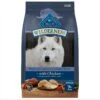 Blue Buffalo Wilderness Senior High Protein Natural Chicken & Wholesome Grains Dry Dog Food 1 Blue Buffalo Wilderness Senior High Protein Natural Chicken & Wholesome Grains Dry Dog Food -Blue Buffalo Shop 735454 MAIN. AC SS1800 V1694547152