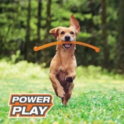 Nylabone Power Play Crazy Stick Dog Toy, Orange 13 Nylabone Power Play Crazy Stick Dog Toy, Orange -Blue Buffalo Shop 737966 PT2. AC SS1800 V1672929912
