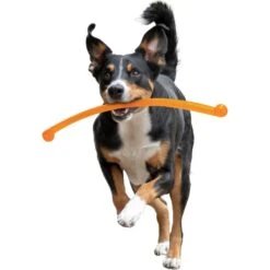 Nylabone Power Play Crazy Stick Dog Toy, Orange 19 Nylabone Power Play Crazy Stick Dog Toy, Orange -Blue Buffalo Shop 737966 PT8. AC SS1800 V1672929859