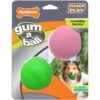Nylabone Power Play Gum-a-Ball Dog Toy, One Size, 2 Count -Blue Buffalo Shop 737982 MAIN. AC SS1800 V1672929145