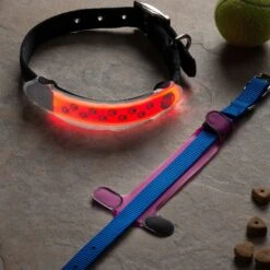 Nite Ize Nite Dawg LED Dog Collar Cover -Blue Buffalo Shop 73814 PT3. AC SS1800 V1682355468