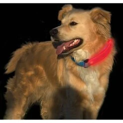 Nite Ize Nite Dawg LED Dog Collar Cover -Blue Buffalo Shop 73814 PT6. AC SS1800 V1501274186