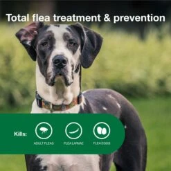 Advantage II Flea Spot Treatment For Dogs, Over 55 Lbs -Blue Buffalo Shop 73929 PT3. AC SS1800 V1680188113