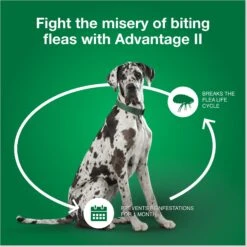 Advantage II Flea Spot Treatment For Dogs, Over 55 Lbs -Blue Buffalo Shop 73929 PT6. AC SS1800 V1680193430