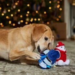 Frisco Holiday Arctic Buddies 2-in-1 Rip For Surprise Plush & Rubber Dog Toy -Blue Buffalo Shop 739718 PT3. AC SS1800 V1694812848