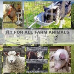 Win World Gazebo Automatic Dog & Cat Feeder, Grey, Large -Blue Buffalo Shop 740734 PT5. AC SS1800 V1671222524