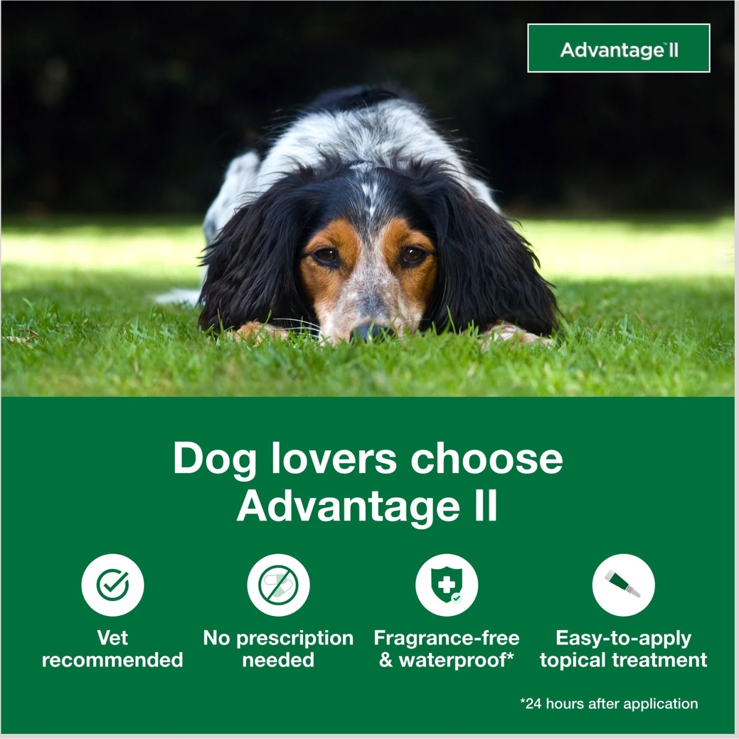 Advantage II Flea Spot Treatment For Dogs, 11-20 Lbs 5 Advantage II Flea Spot Treatment For Dogs, 11-20 Lbs - Image 3