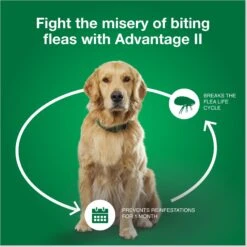 Advantage II Flea Spot Treatment For Dogs, 11-20 Lbs 17 Advantage II Flea Spot Treatment For Dogs, 11-20 Lbs -Blue Buffalo Shop 74388 PT6. AC SS1800 V1680193222