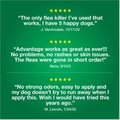 Advantage II Flea Spot Treatment For Dogs, 11-20 Lbs 18 Advantage II Flea Spot Treatment For Dogs, 11-20 Lbs -Blue Buffalo Shop 74388 PT7. AC SS1800 V1680193163