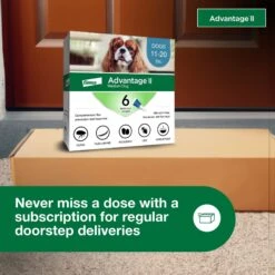 Advantage II Flea Spot Treatment For Dogs, 11-20 Lbs 19 Advantage II Flea Spot Treatment For Dogs, 11-20 Lbs -Blue Buffalo Shop 74388 PT8. AC SS1800 V1680187752