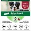 Advantage II Flea Treatment For Dogs, 21-55 Lbs