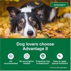 Advantage II Flea Treatment For Dogs, 21-55 Lbs 13 Advantage II Flea Treatment For Dogs, 21-55 Lbs -Blue Buffalo Shop 74392 PT2. AC SS1800 V1680192819