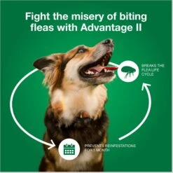 Advantage II Flea Treatment For Dogs, 21-55 Lbs 17 Advantage II Flea Treatment For Dogs, 21-55 Lbs -Blue Buffalo Shop 74392 PT6. AC SS1800 V1680192818