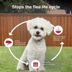 K9 Advantix II Flea & Tick Spot Treatment For Dogs, 4-10 Lbs -Blue Buffalo Shop 74394 PT6. AC SS1800 V1680187178