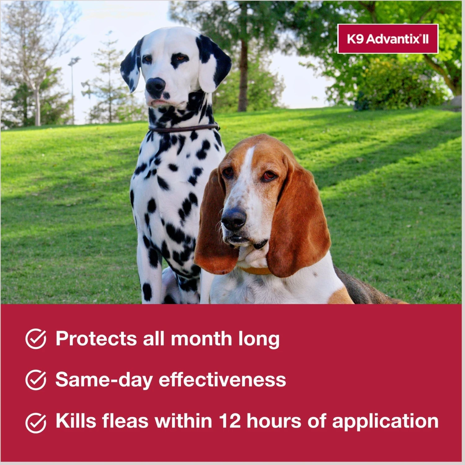 K9 Advantix II Flea & Tick Spot Treatment For Dogs, 21-55 Lbs 6 K9 Advantix II Flea & Tick Spot Treatment For Dogs, 21-55 Lbs - Image 4