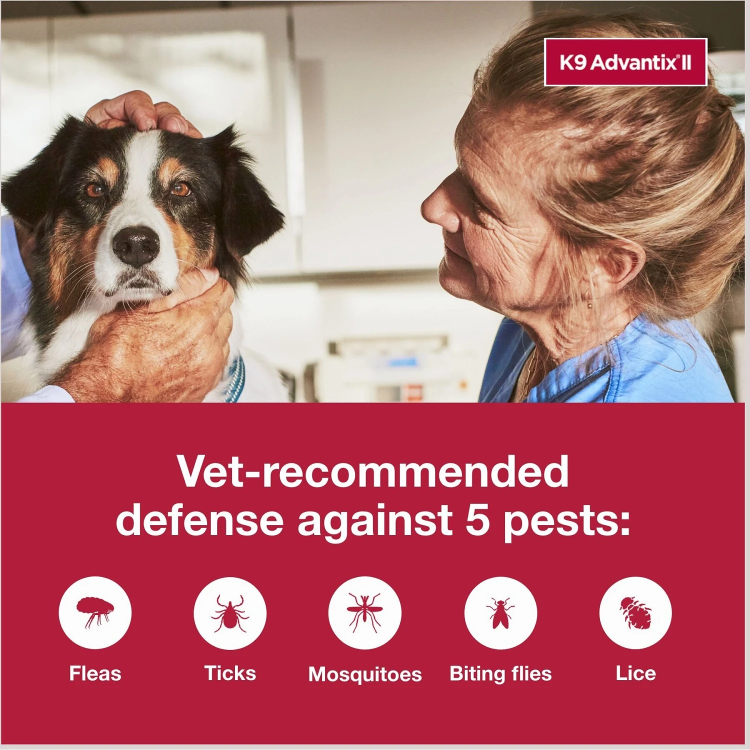 K9 Advantix II Flea & Tick Spot Treatment For Dogs, 21-55 Lbs 7 K9 Advantix II Flea & Tick Spot Treatment For Dogs, 21-55 Lbs - Image 5