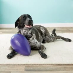 Jolly Pets Jolly Egg Dog Toy, Purple -Blue Buffalo Shop 74529 PT8. AC SS1800 V1506968381