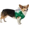 Frisco Ornament Dog & Cat Costume -Blue Buffalo Shop 745510 MAIN. AC SS1800 V1694800749