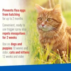 Adams® Adams Topical Flea & Tick Spray For Dogs & Cats -Blue Buffalo Shop 74673 PT3. AC SS1800 V1658198445
