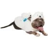 Frisco Polar Bear Ride-On Dog Costume 2 Frisco Polar Bear Ride-On Dog Costume -Blue Buffalo Shop 747046 MAIN. AC SS1800 V1694813783