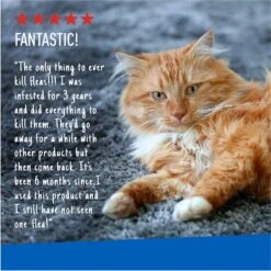 Adams® Adams Flea & Tick Carpet Powder -Blue Buffalo Shop 74734 PT5. AC SS1800 V1682708504