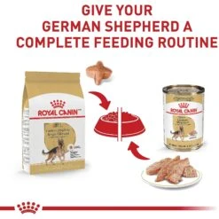 Royal Canin Breed Health Nutrition German Shepherd Adult Dry Dog Food 16 Royal Canin Breed Health Nutrition German Shepherd Adult Dry Dog Food -Blue Buffalo Shop 75164 PT5. AC SS1800 V1697213803