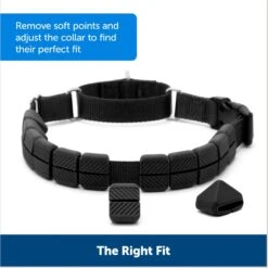 PetSafe Soft Point Martingale Dog Training Collar -Blue Buffalo Shop 751990 PT3. AC SS1800 V1673378845