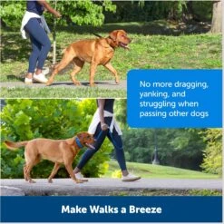 PetSafe Soft Point Martingale Dog Training Collar -Blue Buffalo Shop 751990 PT4. AC SS1800 V1673378784