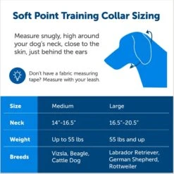 PetSafe Soft Point Martingale Dog Training Collar -Blue Buffalo Shop 751990 PT5. AC SS1800 V1673381423