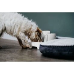 Cat Mate Plastic Dog & Cat Fountain, 67.6-oz -Blue Buffalo Shop 75264 PT6. AC SS1800 V1663713387