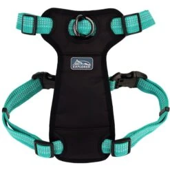 K9 Explorer Brights Reflective Front-Connect Harness