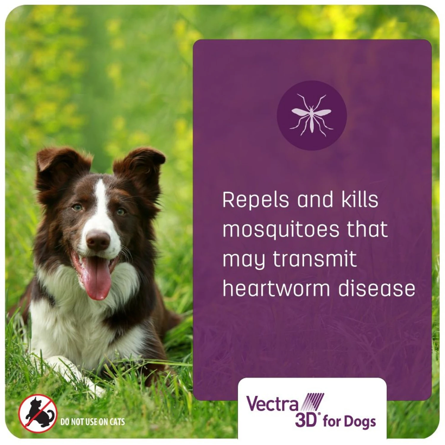 Vectra 3D Flea & Tick Control For Dogs Over 95lbs 9 Vectra 3D Flea & Tick Control For Dogs Over 95lbs - Image 7