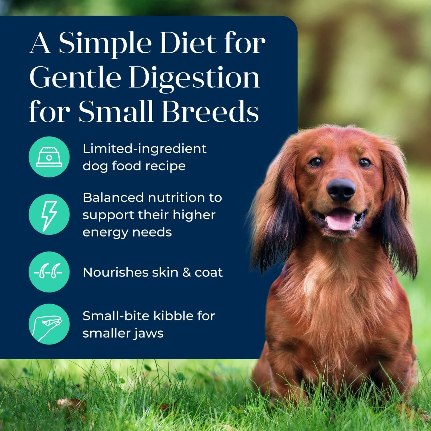 Blue Buffalo Basics Skin & Stomach Care Grain-Free Formula Lamb & Potato Recipe Small Breed Adult Dry Dog Food 5 Blue Buffalo Basics Skin & Stomach Care Grain-Free Formula Lamb & Potato Recipe Small Breed Adult Dry Dog Food - Image 3
