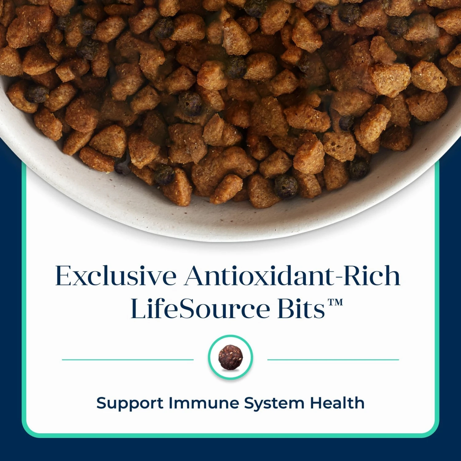 Blue Buffalo Basics Skin & Stomach Care Grain-Free Formula Lamb & Potato Recipe Small Breed Adult Dry Dog Food 9 Blue Buffalo Basics Skin & Stomach Care Grain-Free Formula Lamb & Potato Recipe Small Breed Adult Dry Dog Food - Image 7