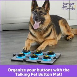 Hunger For Words Talking Pet Button Mat Dog Toy & Hunger For Words Talking Pet Starter Set Dog Toy -Blue Buffalo Shop 757726 PT8. AC SS1800 V1674051110