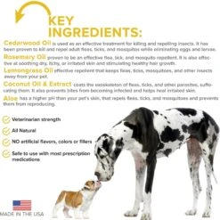 VetSmart Formulas Protect Dog Shampoo & Home + Dog Spray, 8-oz Bottle, 2 Count -Blue Buffalo Shop 757966 PT5. AC SS1800 V1674167221