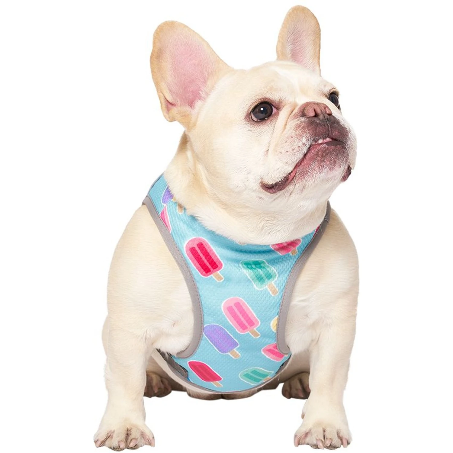 Canada Pooch Cooling Dog Vest 4 Canada Pooch Cooling Dog Vest - Image 2