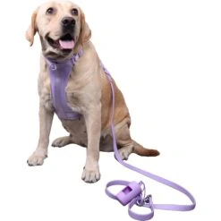 WildHound C4 No-Pull Premium Dog Harness -Blue Buffalo Shop 759942 PT3. AC SS1800 V1674491316