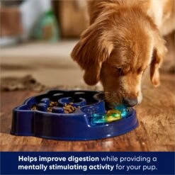 Frisco Interactive Dog Slow Feeder Bowl -Blue Buffalo Shop 761238 PT2. AC SS1800 V1696254583