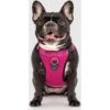 Canada Pooch Everything Dog Harness -Blue Buffalo Shop 764542 MAIN. AC SS1800 V1679597533