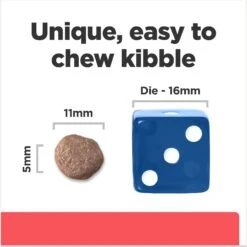 Hill's Prescription Diet ONC Care Dry Dog Food -Blue Buffalo Shop 765326 PT5. AC SS1800 V1675112982