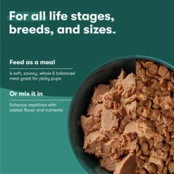 Jinx Beef & Sweet Potato Chopped Recipe Grain-Free Wet Dog Food, 13-oz Can, Case Of 12 -Blue Buffalo Shop 765630 PT4. AC SS1800 V1675201408