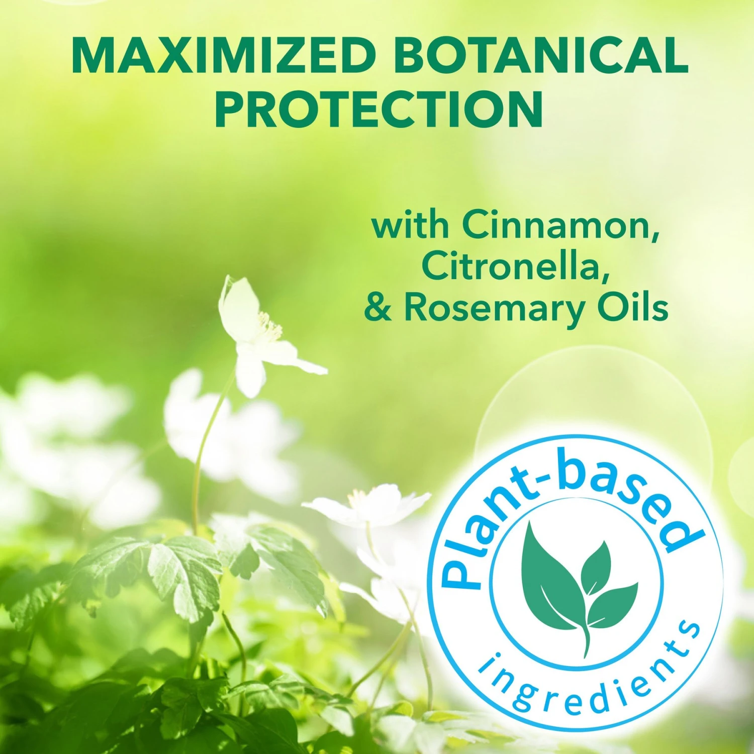 Hartz Nature's Shield Natural Flea & Tick Dog Shampoo, 14-oz Bottle 6 Hartz Nature's Shield Natural Flea & Tick Dog Shampoo, 14-oz Bottle - Image 4