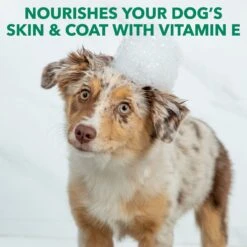 Hartz Nature's Shield Natural Flea & Tick Dog Shampoo, 14-oz Bottle 13 Hartz Nature's Shield Natural Flea & Tick Dog Shampoo, 14-oz Bottle -Blue Buffalo Shop 766534 PT5. AC SS1800 V1679411808