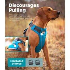 Outward Hound Boulder Adventure Adjustable W/Pockets Dog Harness 11 Outward Hound Boulder Adventure Adjustable W/Pockets Dog Harness -Blue Buffalo Shop 766630 PT2. AC SS1800 V1675110651