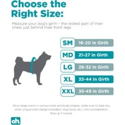 Outward Hound Boulder Adventure Adjustable W/Pockets Dog Harness 14 Outward Hound Boulder Adventure Adjustable W/Pockets Dog Harness -Blue Buffalo Shop 766630 PT5. AC SS1800 V1675109472
