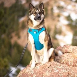 Outward Hound Boulder Adventure Adjustable W/Pockets Dog Harness 15 Outward Hound Boulder Adventure Adjustable W/Pockets Dog Harness -Blue Buffalo Shop 766630 PT6. AC SS1800 V1675109472