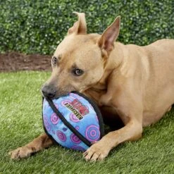 KONG Ballistic Football Dog Toy, Color Varies -Blue Buffalo Shop 77551 PT1. AC SS1800 V1545173230
