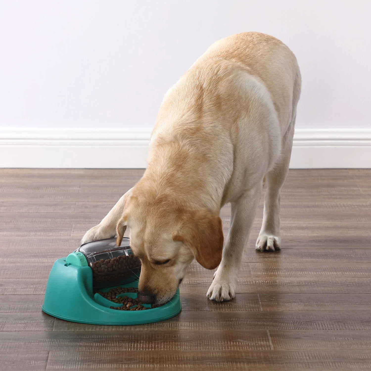 Nina Ottosson By Outward Hound Spin N' Eat Dog Food Puzzle Feeder, Green 7 Nina Ottosson By Outward Hound Spin N' Eat Dog Food Puzzle Feeder, Green - Image 5